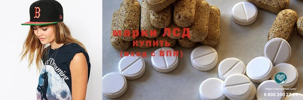 прущие грибы Горнозаводск