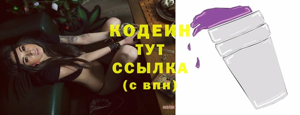 прущие грибы Горнозаводск