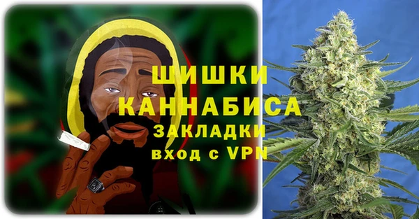 прущие грибы Горнозаводск