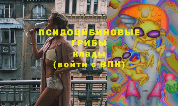прущие грибы Горнозаводск