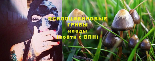 прущие грибы Горнозаводск